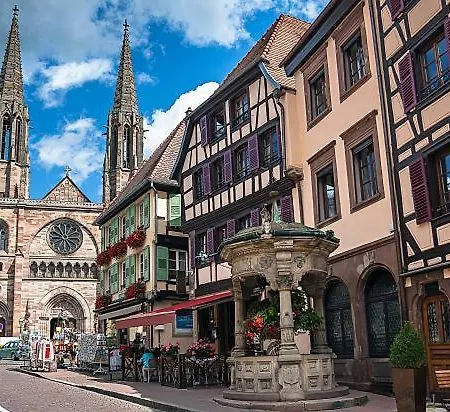 Appartement La Dependance D'obernai - Parking Gratuit - Centre - Commerces A Proximite