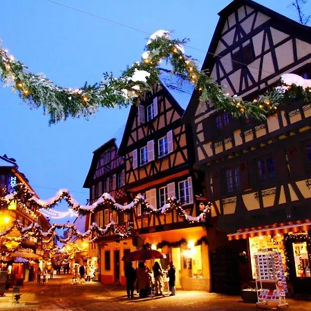 Daire La Dependance D'obernai - Parking Gratuit - Centre - Commerces A Proximite Obernai