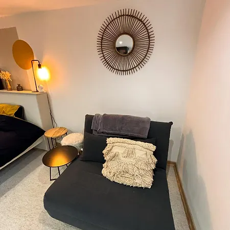 Daire La Dependance D'obernai - Parking Gratuit - Centre - Commerces A Proximite *