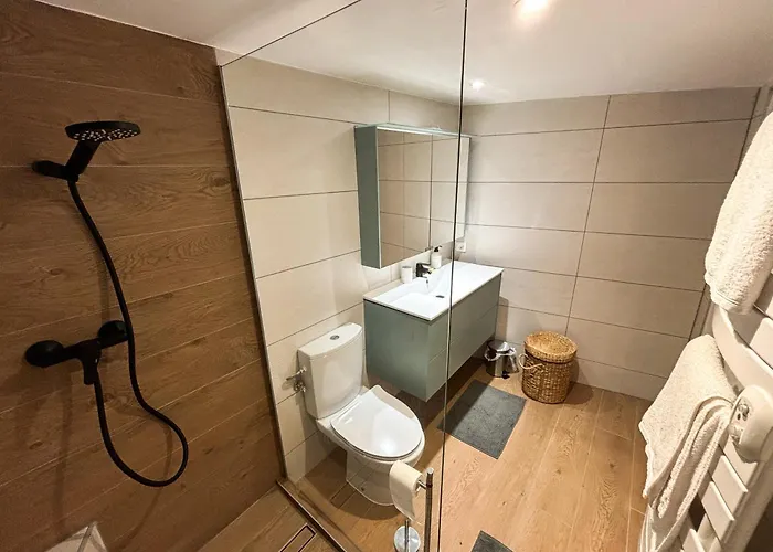 Lejlighed La Dependance D'obernai - Parking Gratuit - Centre - Commerces A Proximite